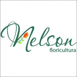 Nelson Floricultura